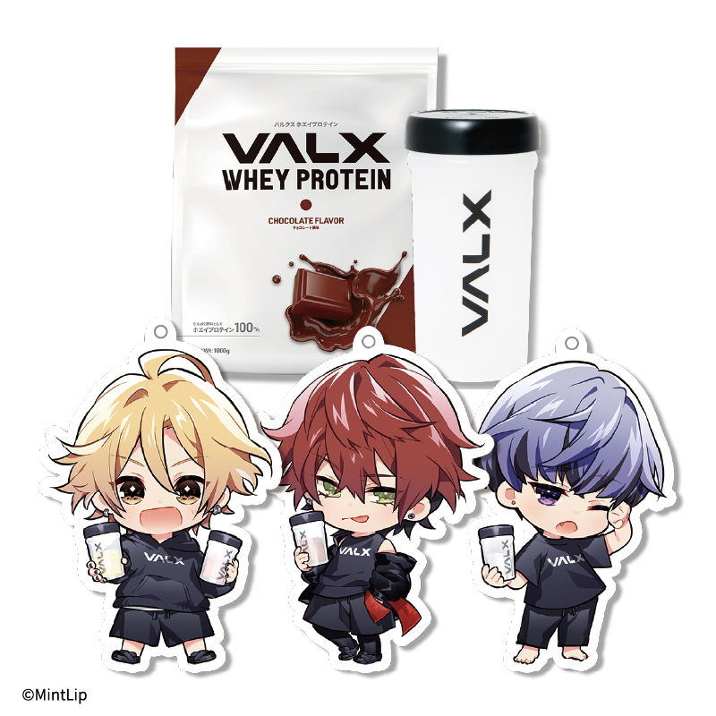 【2023年6月上旬以降発送】【ティームストア限定】DIG-ROCK×VALX プロテインセット