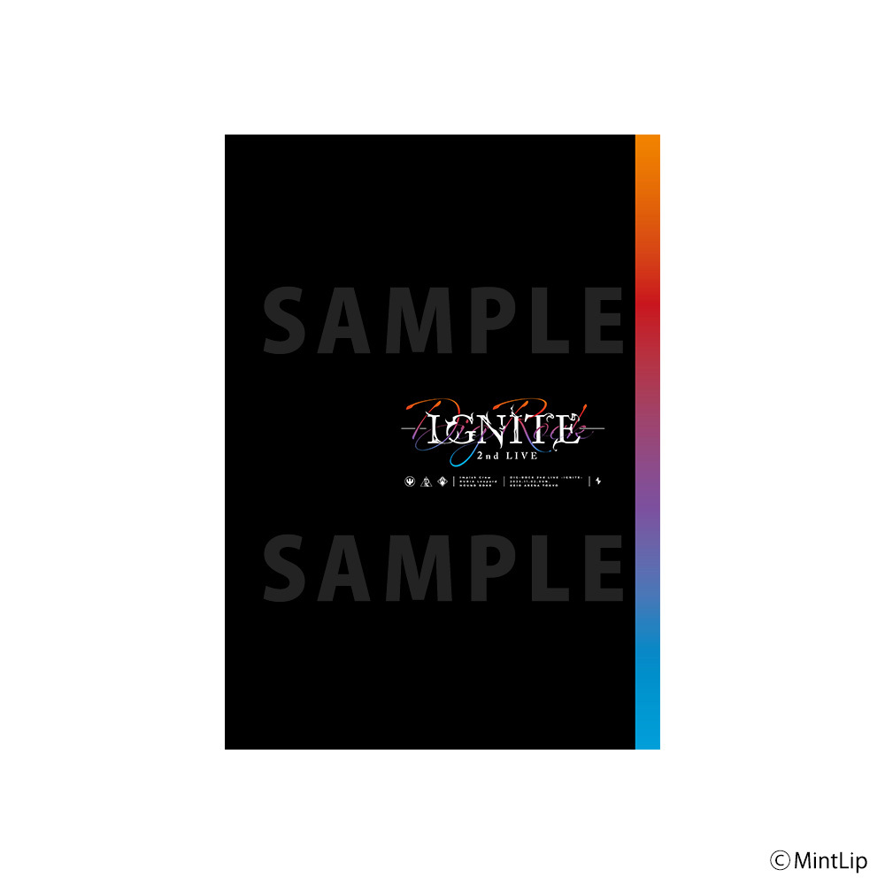 【2025年10月下旬発送】DIG-ROCK パンフレット -IGNITE-