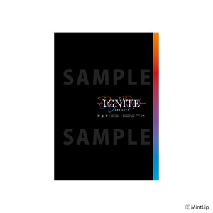 【2025年10月下旬発送】DIG-ROCK パンフレット -IGNITE-